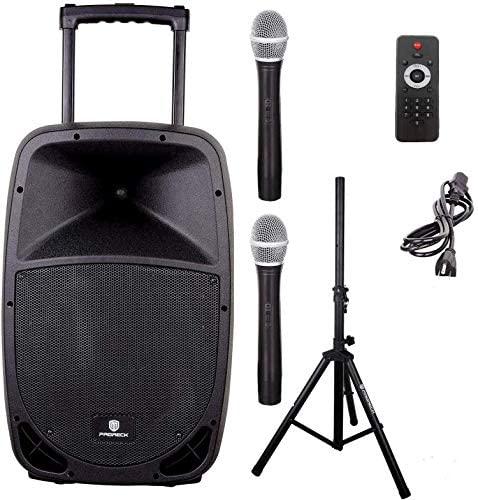 portable pa system with mic