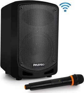 Best Portable PA Systems with Microphone