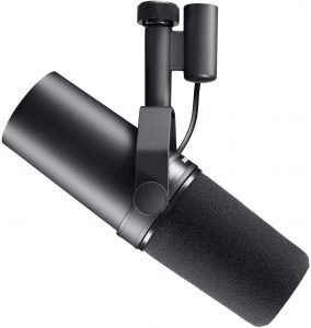 Best Microphone for Live Vocals