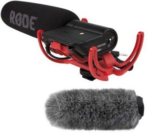 Best Microphone For Recording Nature