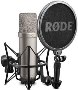 Best Microphone For Recording Instruments